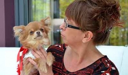 TF1 et les chiens de Sabine Mathieu