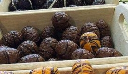 La Chocolatiere : cadeau - baptême - communion - mariage.