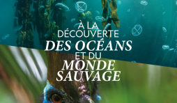  The Greatest Wildlife Photographs et Pristine Seas