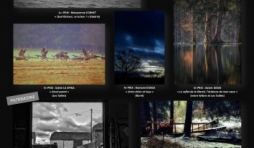 Laureats du concours 2020 Photos Houffalize 