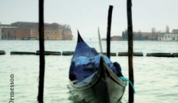 Une annee à Venise de Lauren Elkin  Editions Heloise d’Oremesson.